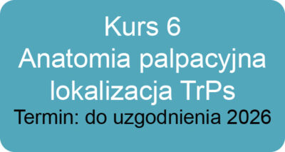 Kurs 6 – Anatomia palpacyjna z elementami terapii manualnej i lokalizacją TrPs
